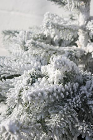 Fire Retardant snow image